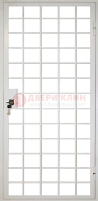 Белая металлическая решетчатая дверь ДР-2 в Ликино-Дулево