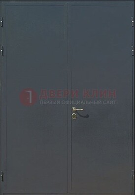 Двухстворчатая техническая дверь ДТ-5 в Ликино-Дулево